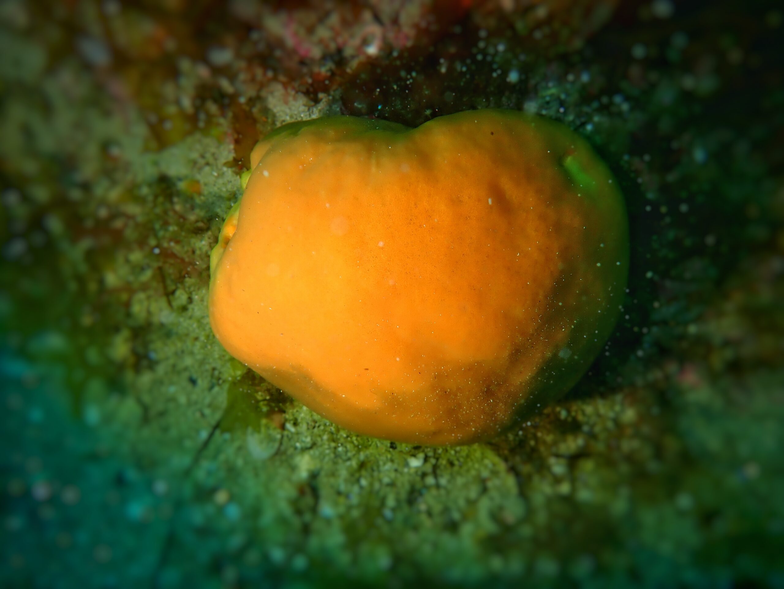 P6120013