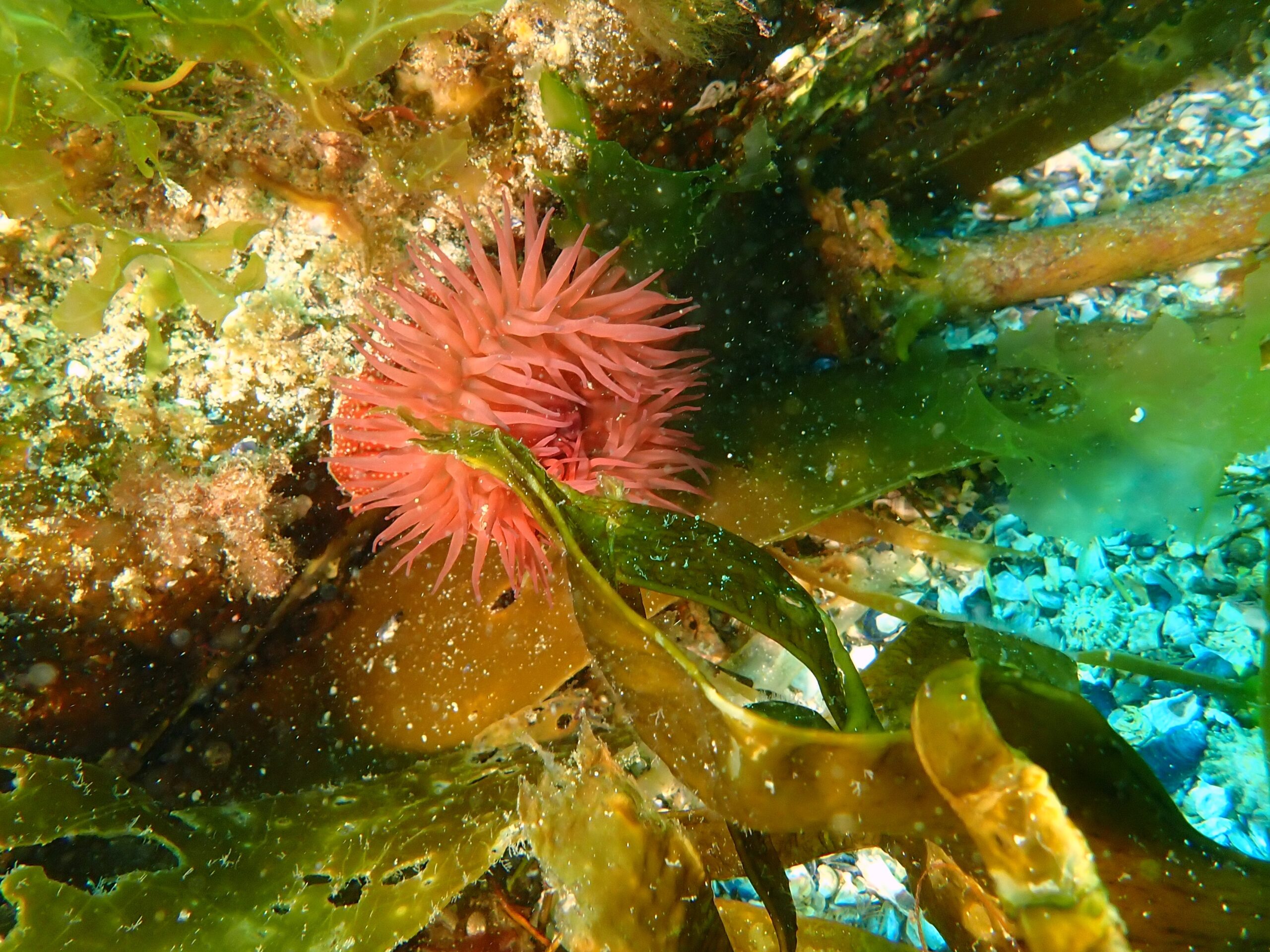 P6120036