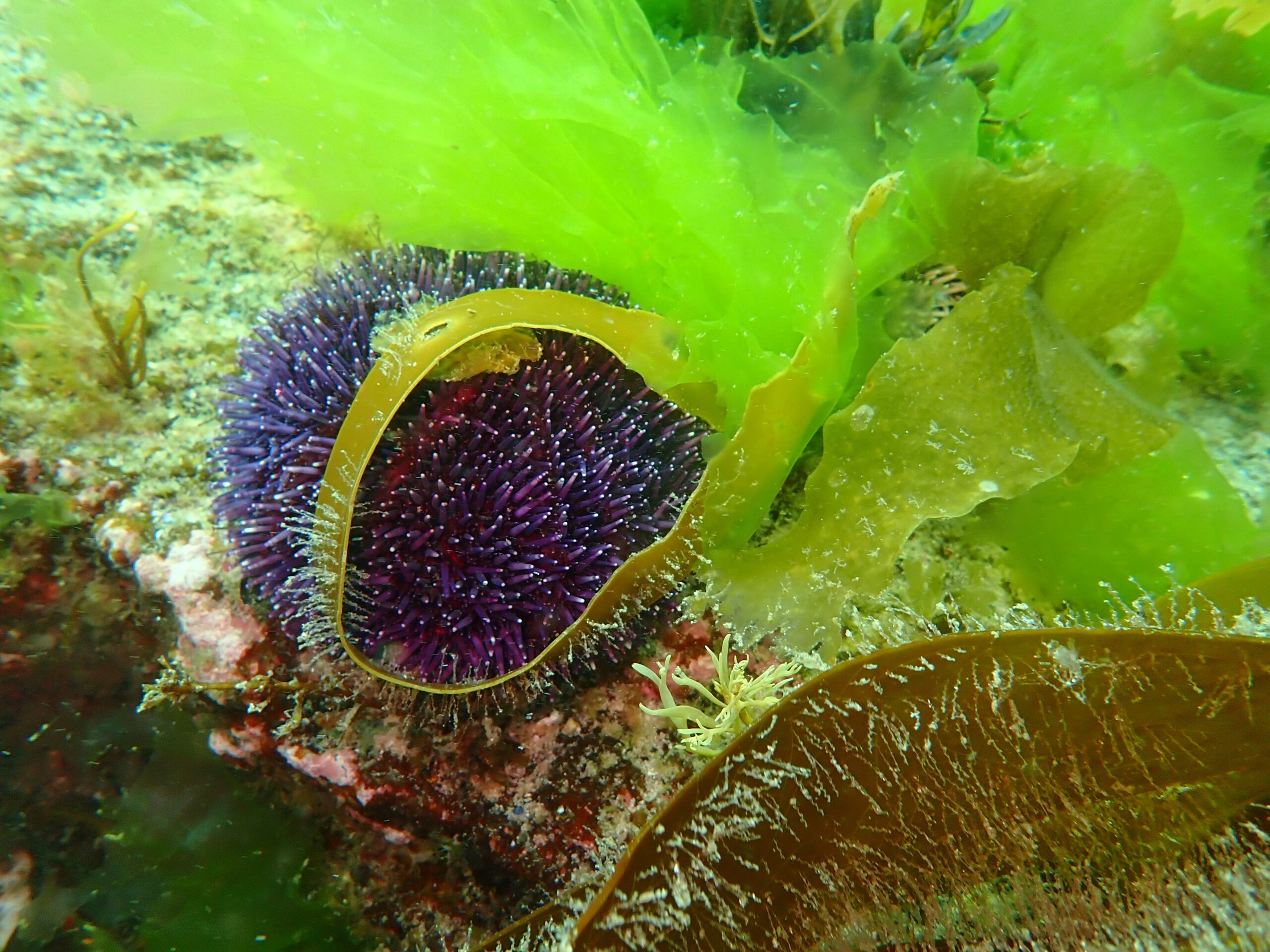 P6120038