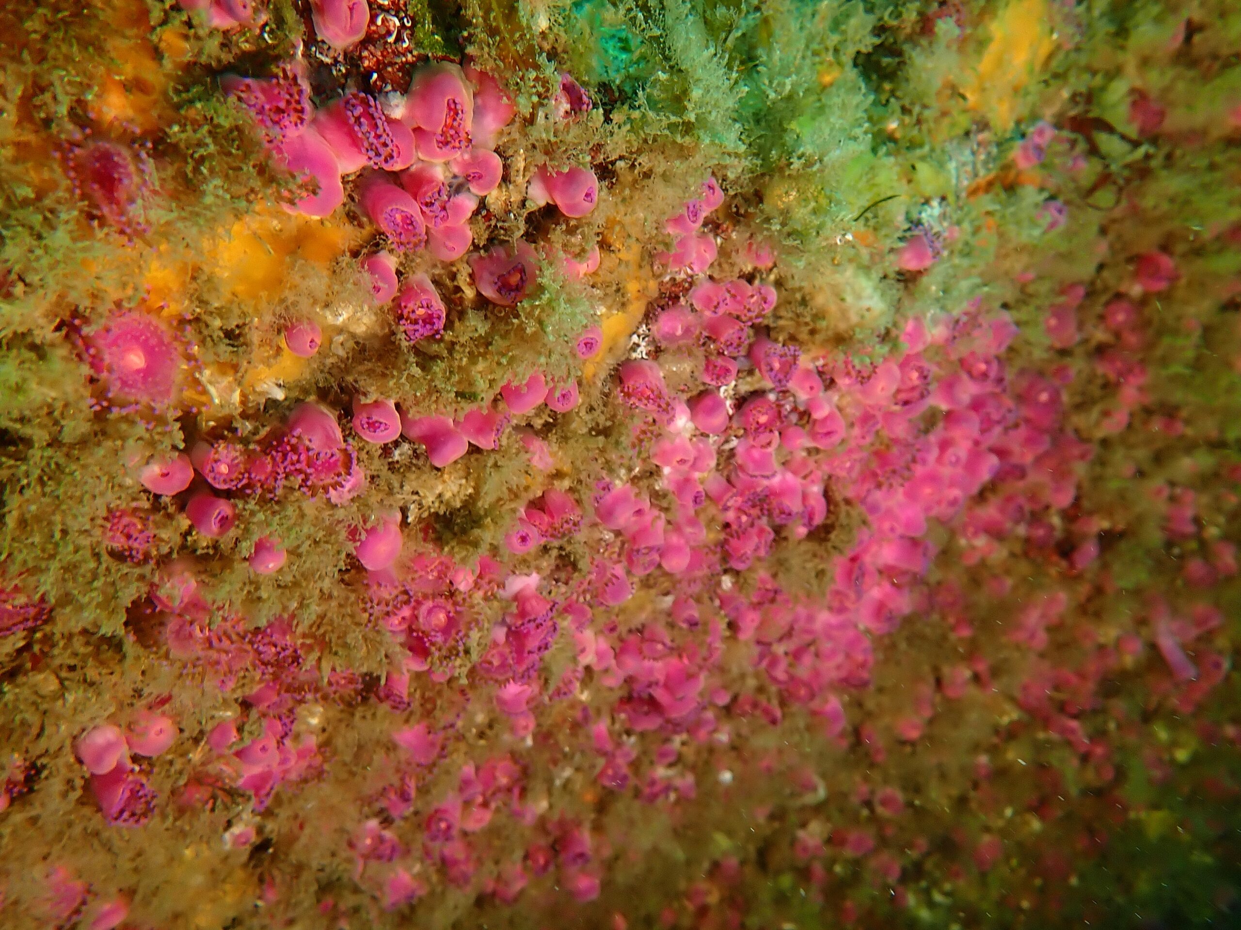 P6120054