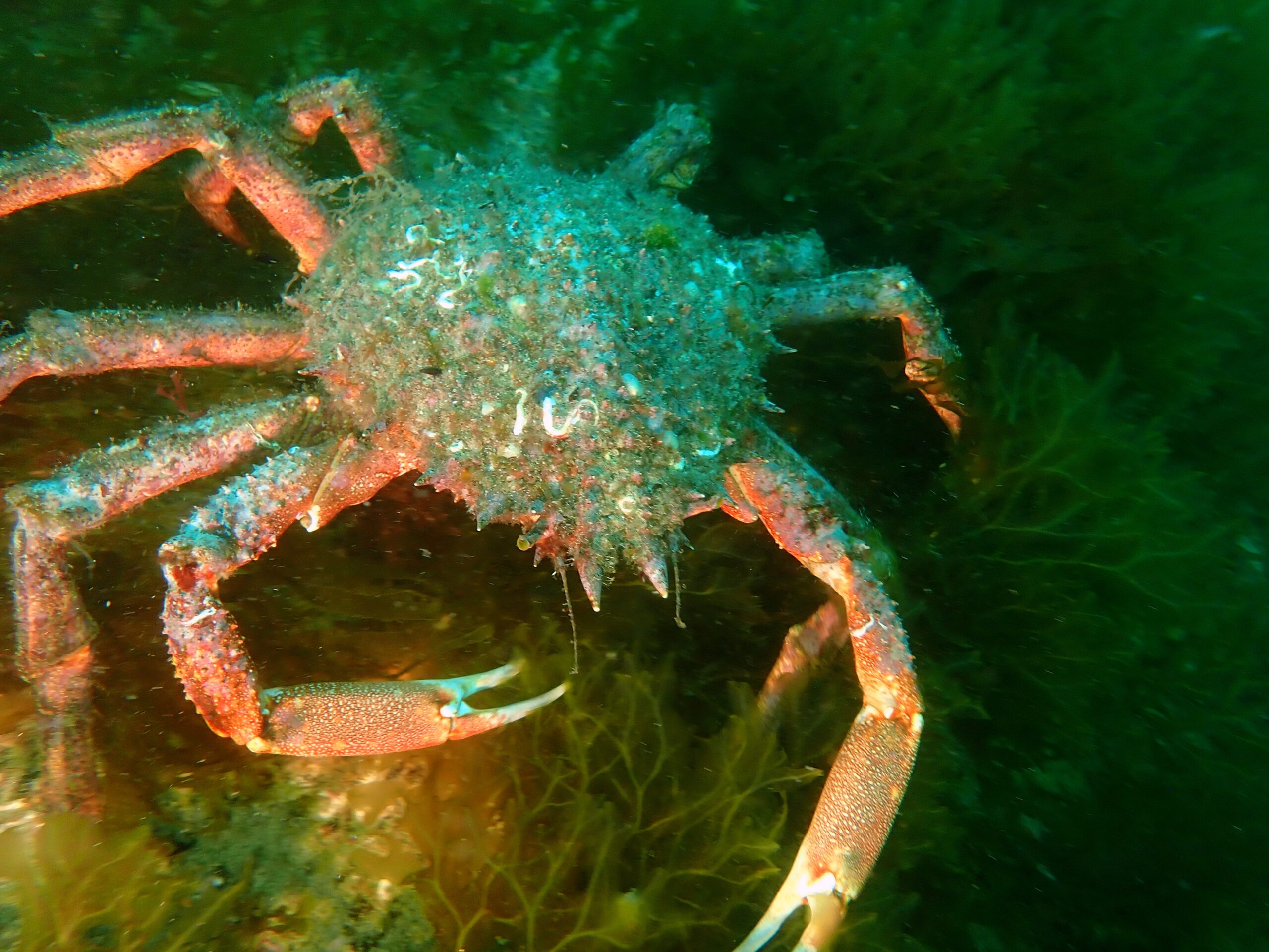 P6120086