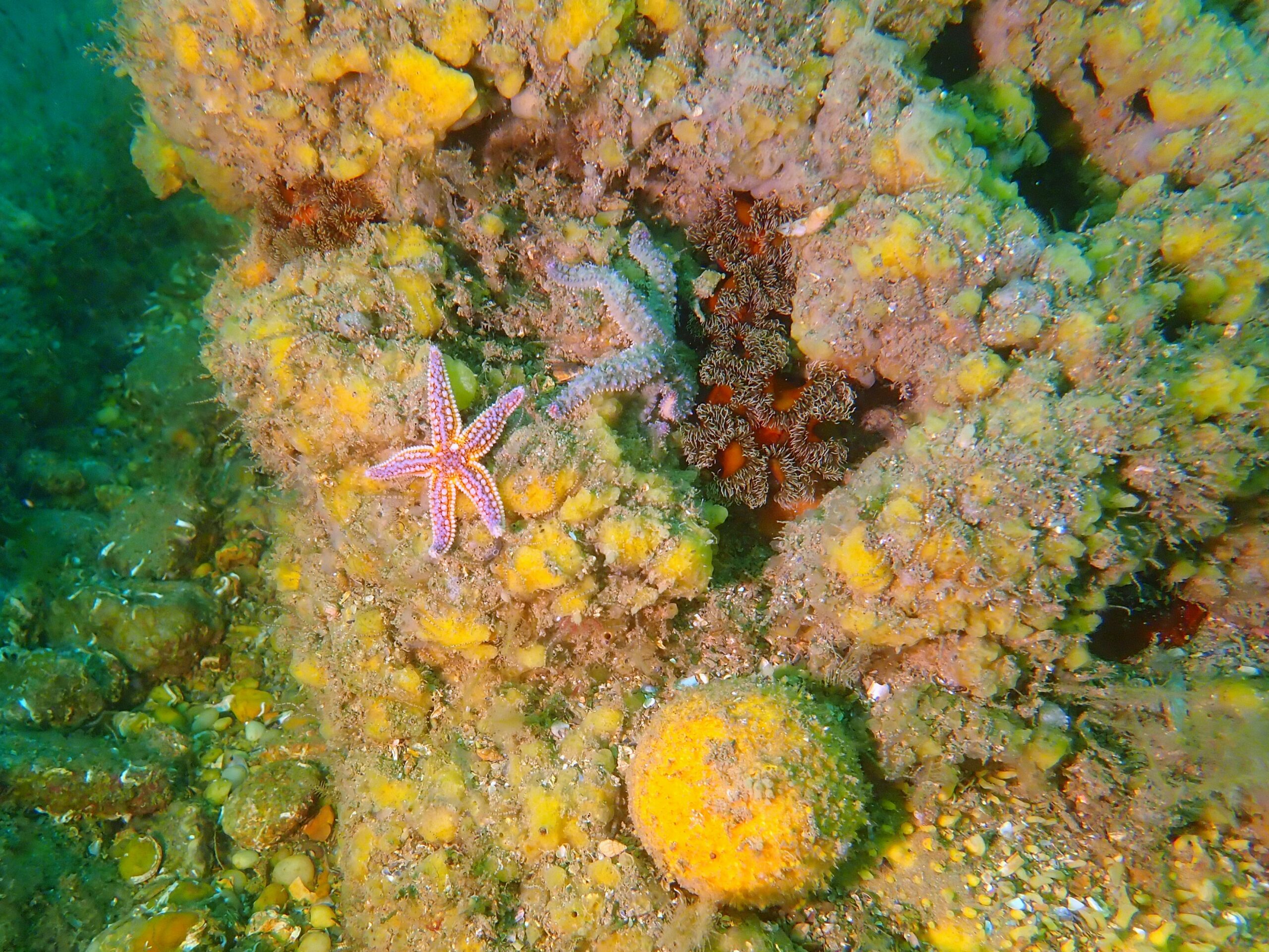 P6220139