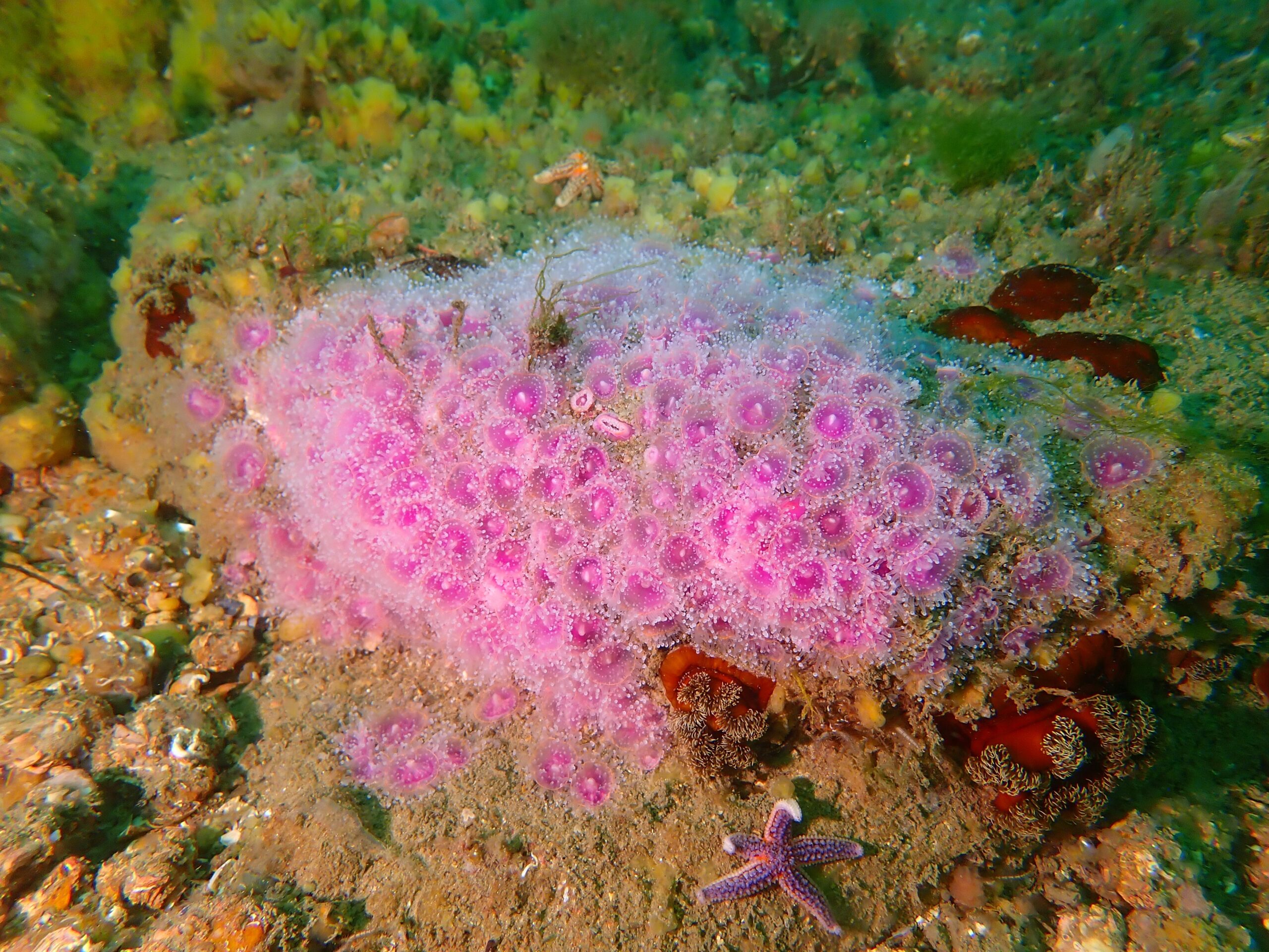 P6220141