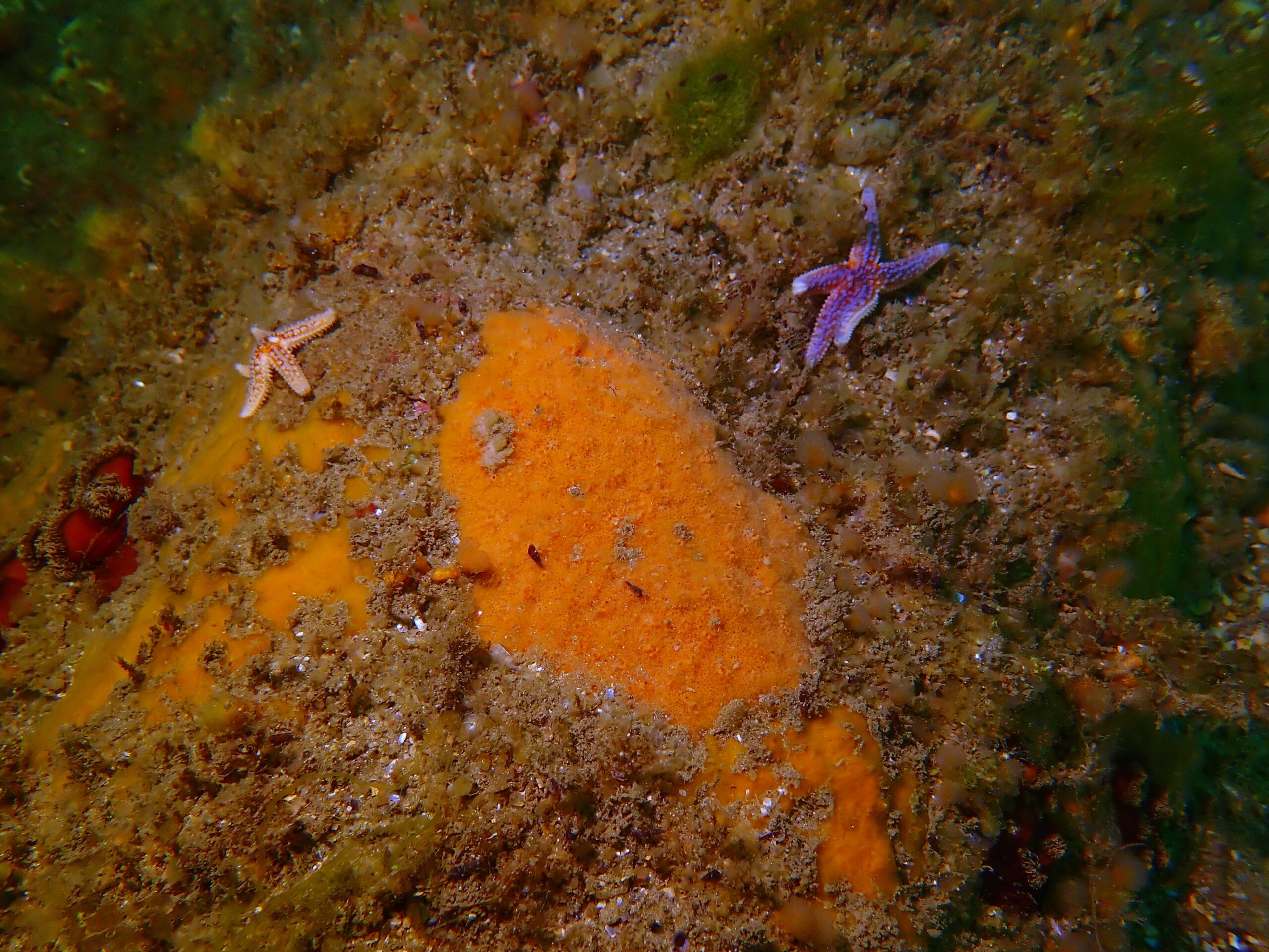 P6220145