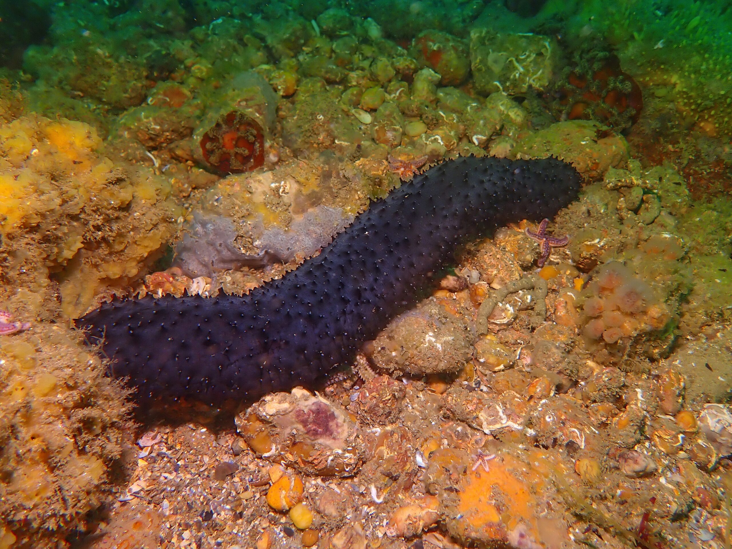 P6220146