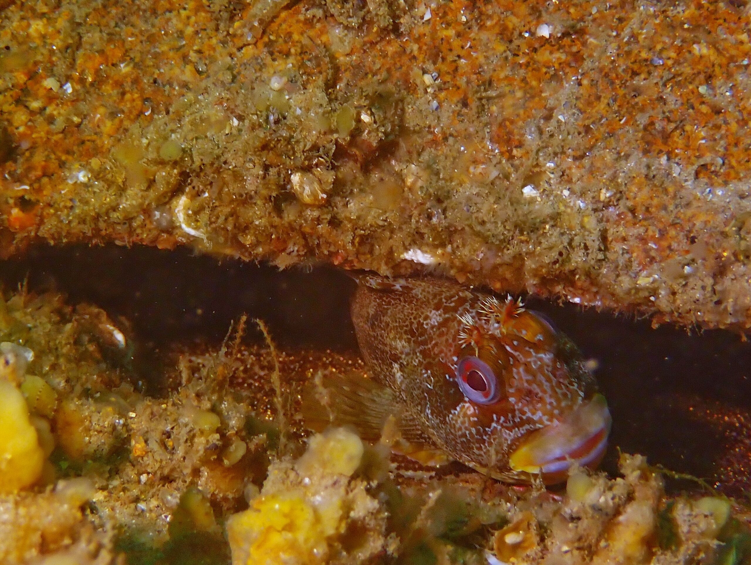P6220164