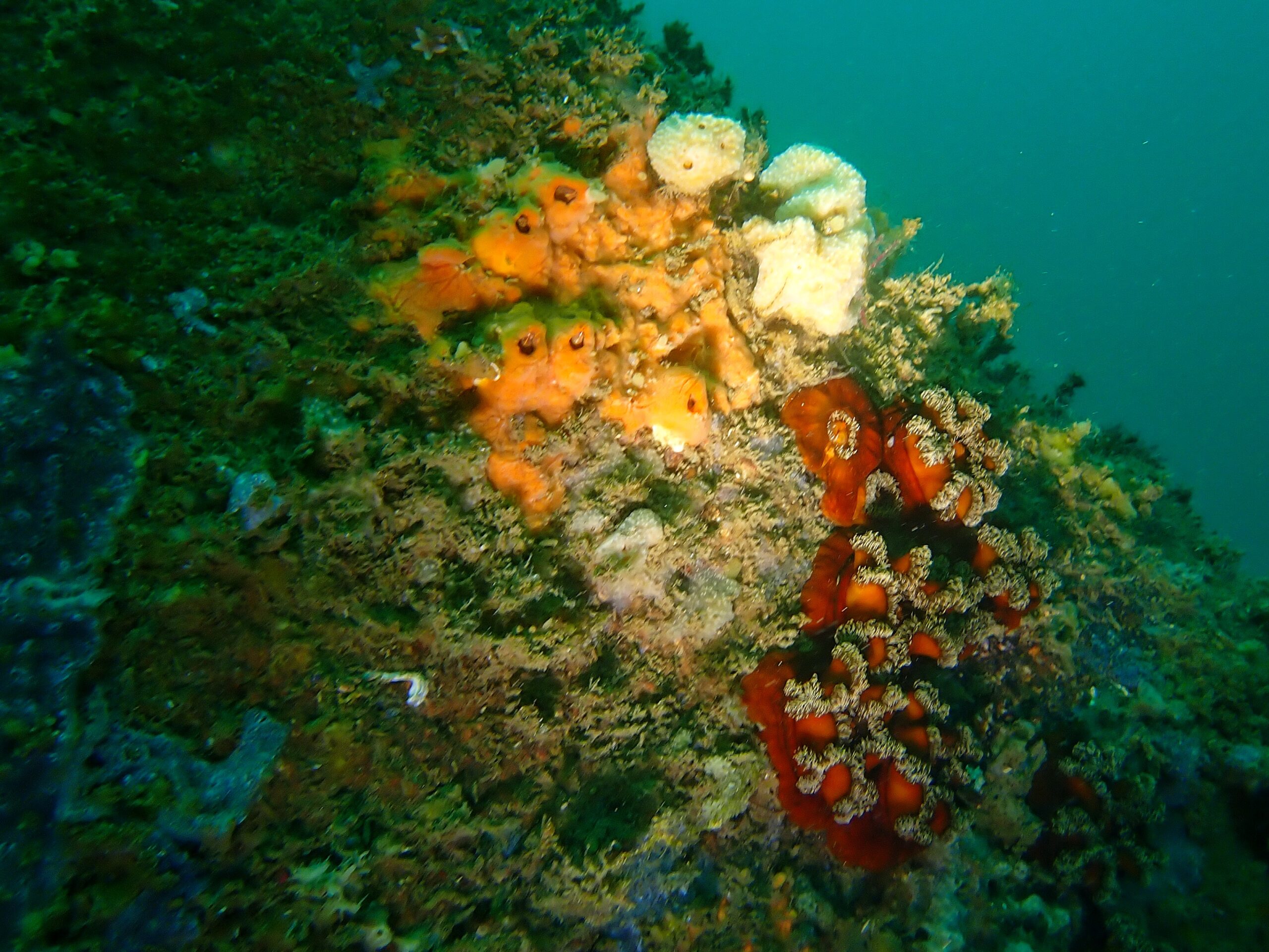 P6220166