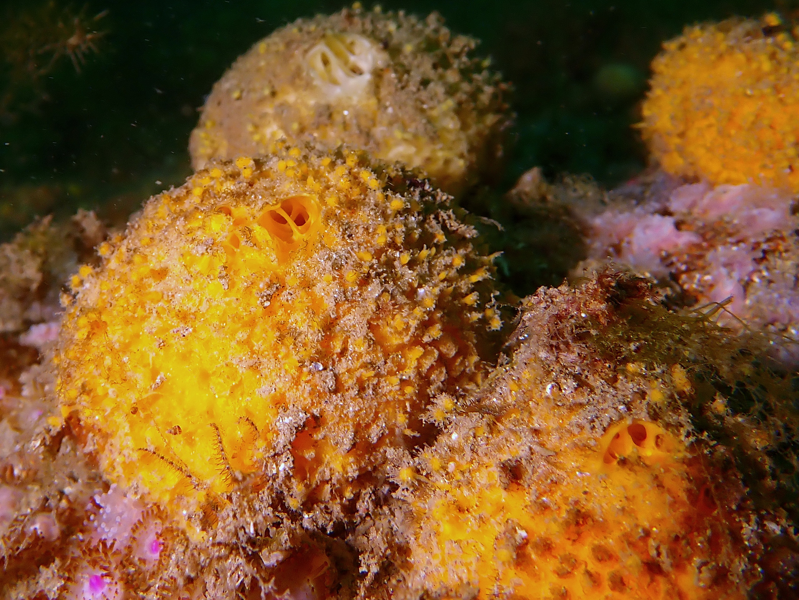 P6220167