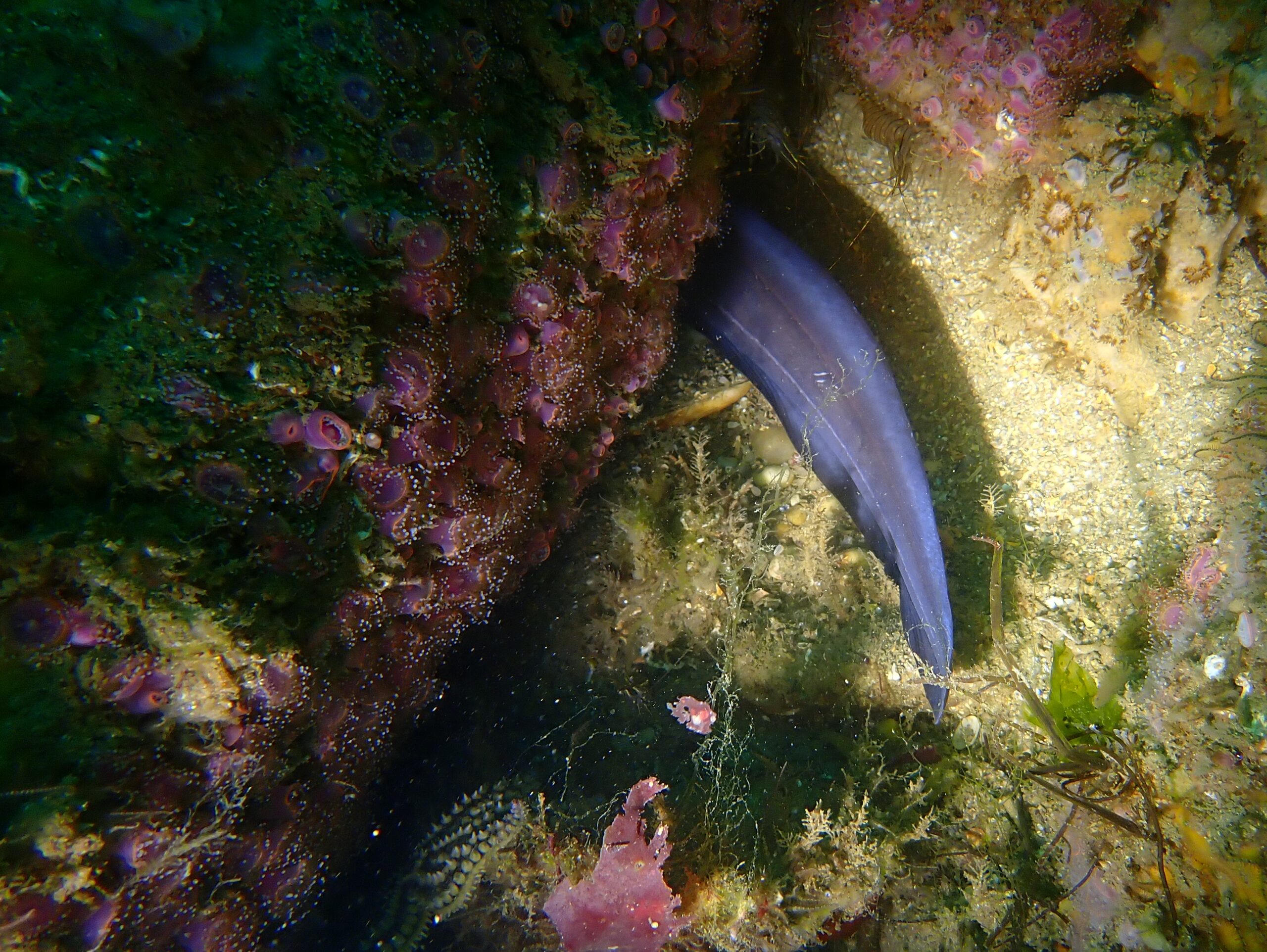 P6220175
