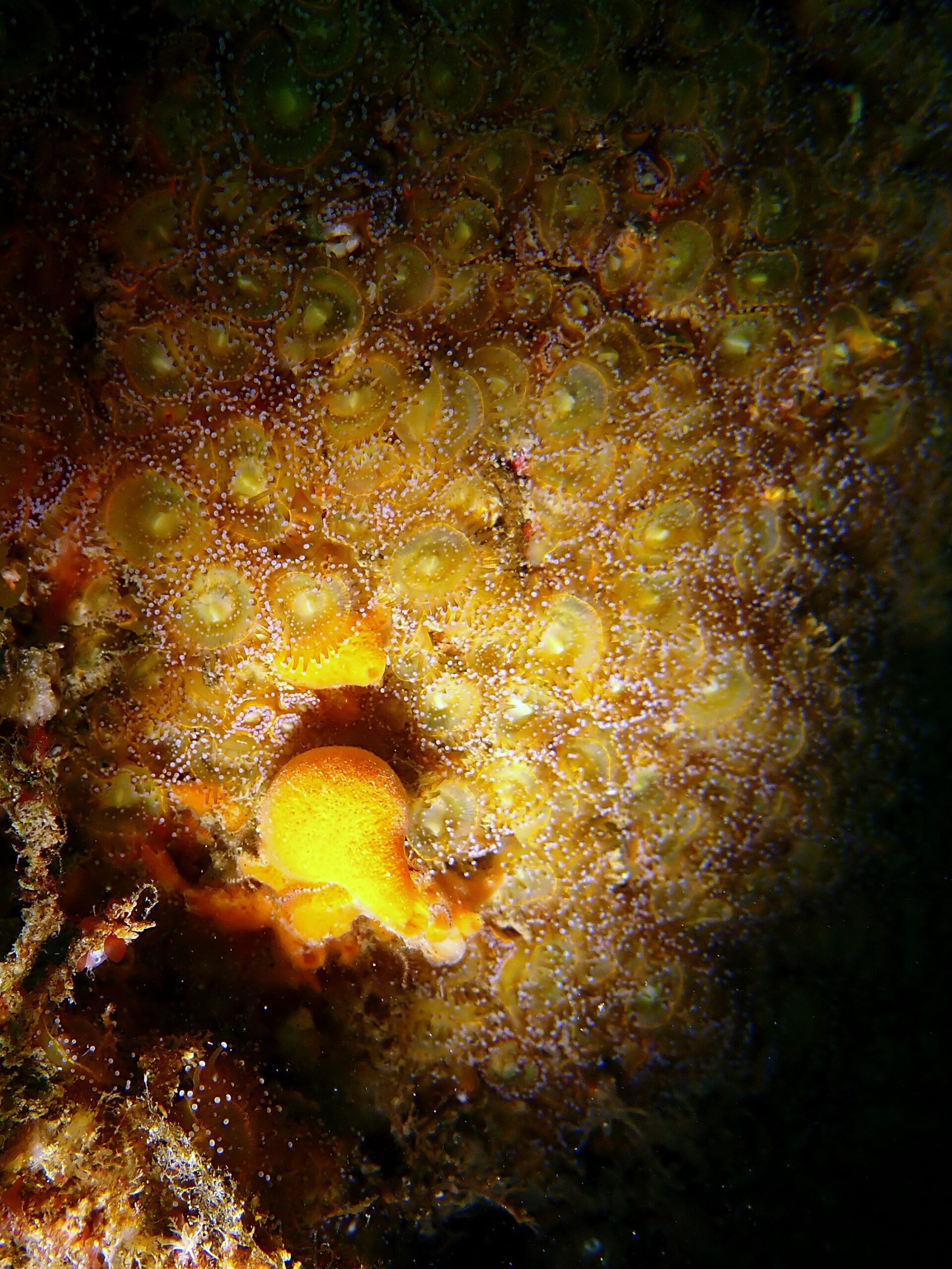 P6220191