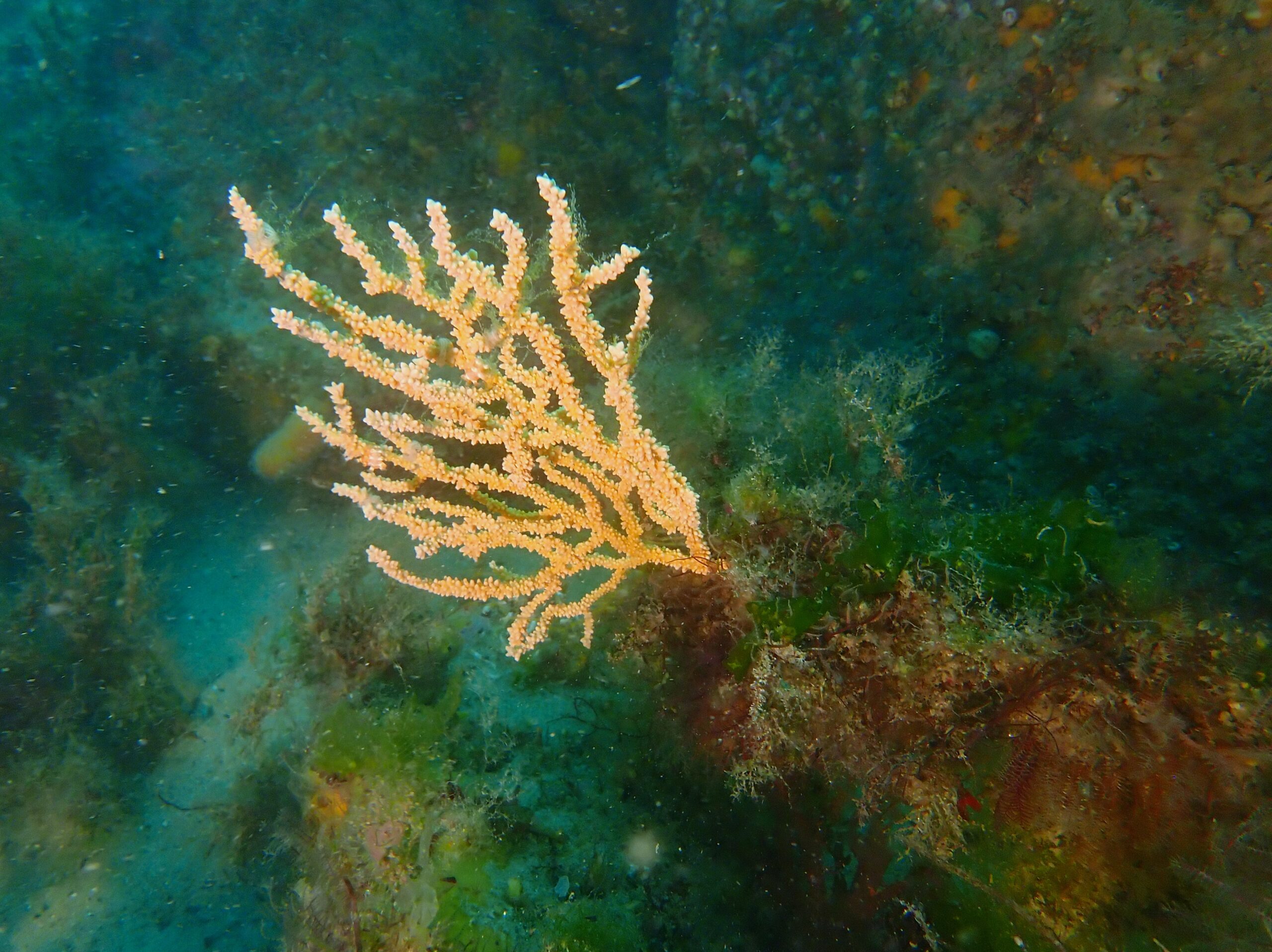 P6220201