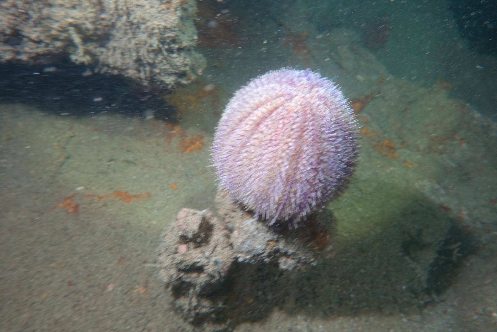 img-20250504-wa0016