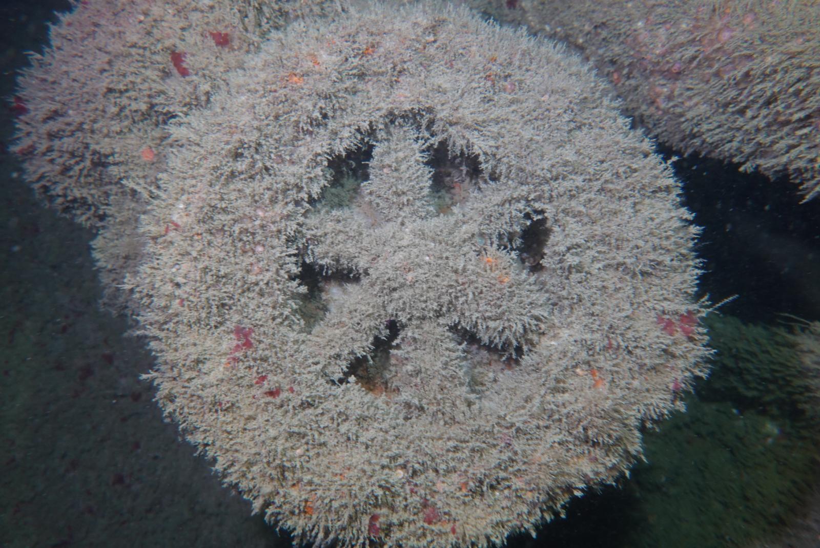img-20250504-wa0021