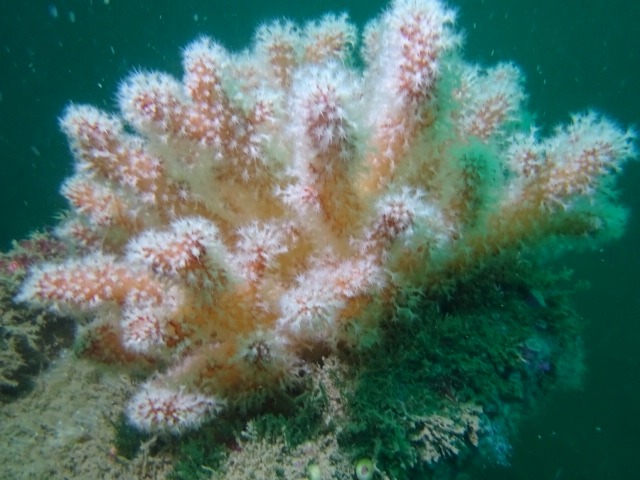 img-20250504-wa0030