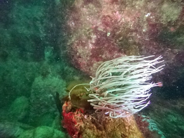 img-20250504-wa0042