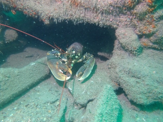 img-20250504-wa0044