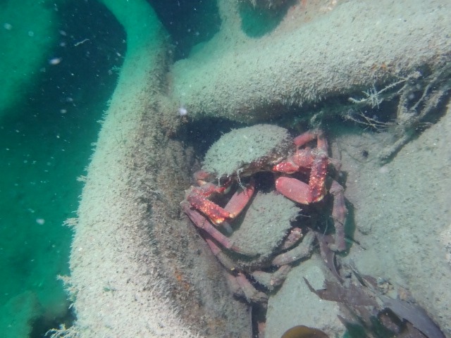 img-20250504-wa0074